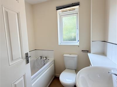 Picture 16